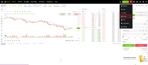 لوریج در صرافی ایکس تی 2025 5 لوریج در صرافی ایکس تی 2025